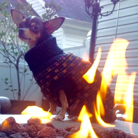 🐾WARM DOG TURTLENECK SWEATER🐾 - Picture 3 of 10